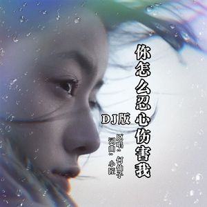 你怎么忍心伤害我DJ