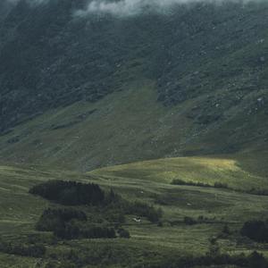 先说谎的人_20220713_051011