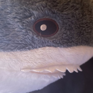 I can't think too fast (2025 remaster)