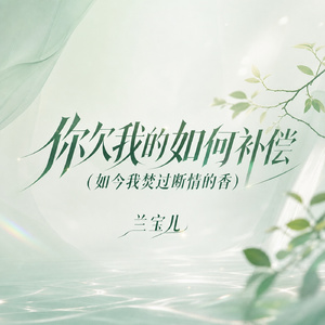 你欠我的如何补偿（如今我焚过断情的香）