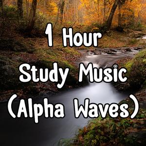 1 Hour Study Music Alpha Waves 113.2