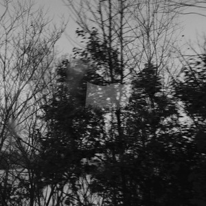 「Free」“忆”pop tyep beat