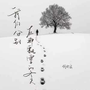 我们分别在那飘雪的冬天
