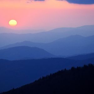 与天齐（dy热门版）