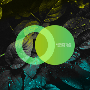 Artic Circle (Original Mix)