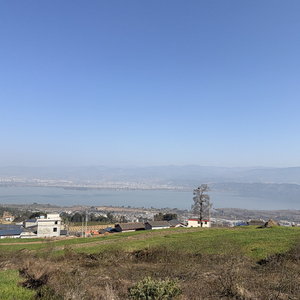 村庄（原声版）2026