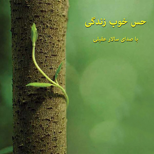 Hesse Khoobe Zendegi