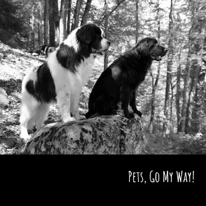 ペットよ我が道を行く♬