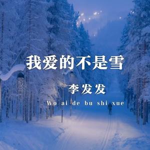 我爱的不是雪