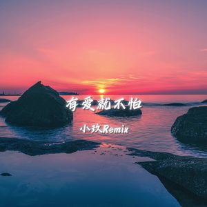 有爱就不怕（小玖Remix）