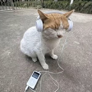如此这般的
