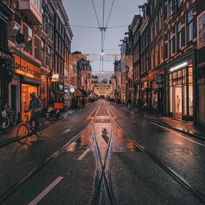 流浪猫的漂流记