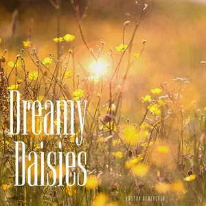 Dreamy Daisies