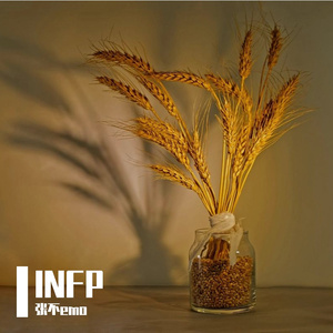 蝶蛹与未拆的信