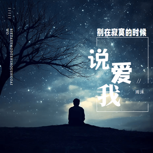 别在寂寞的时候说爱我