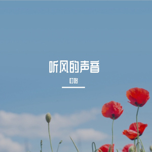 听风的声音