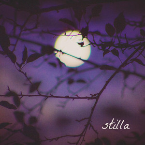 Stilla