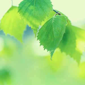 抚慰的下班以后回忆