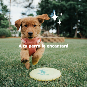 Playful (Storms and Rain)