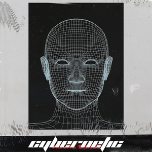 Cybernetic