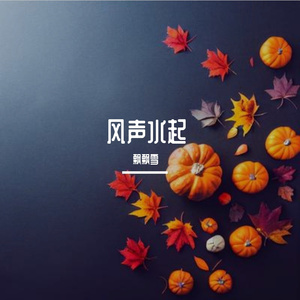 没心没肺风声水起 伴奏