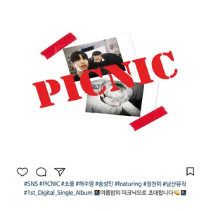 Picnic