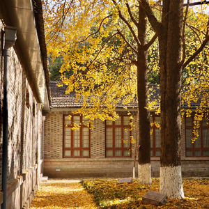 Someone Like You（随便唱版本）