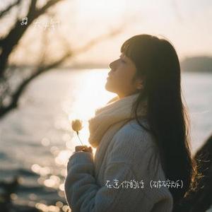 在意你的话