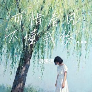 可惜春风不懂我伤悲 (Cover 弦外之音)
