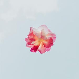 Firework(feat. PinkieRanckey)