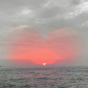 The loveless are free