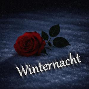Winternacht