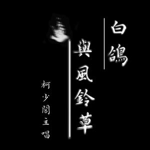 白鸽与风铃草（翻自 洛少爷）