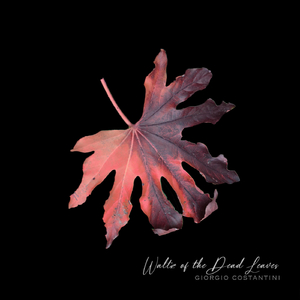 Waltz of the Dead Leaves (432 Version)