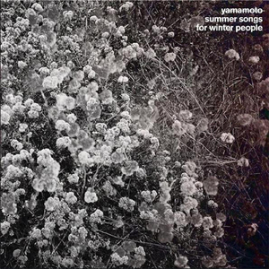 Rolling Down the Hill