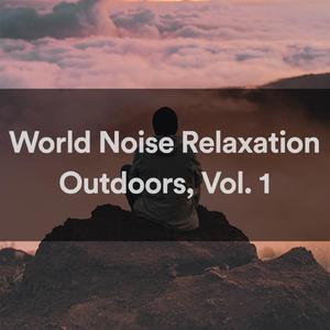 World Noise Relaxation - A Fire That Burns And Slows Down (Loopable) (Original Mix)