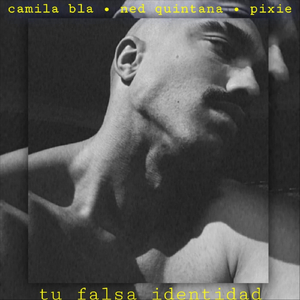 Tu Falsa Identidad
