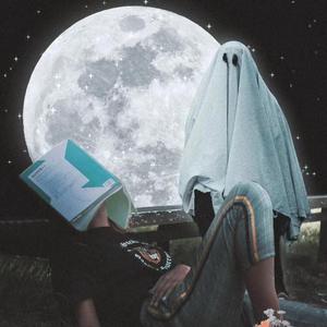 Night Sky In The Long Way