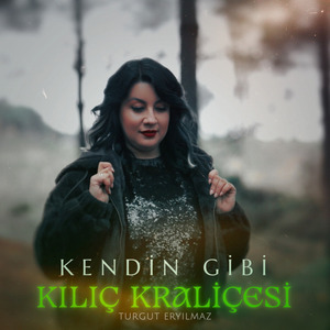 Kendin Gibi