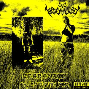 NECRO$EXY (feat. !NTWRiXD)