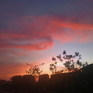 挚爱-forever my love翻唱