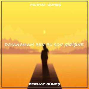 Dayanamam Ben Bu Son Gidişine