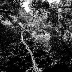 Gebrochen ins Dunkel