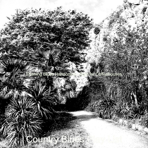 Wonderful Blues - Vibe for Summer Trips