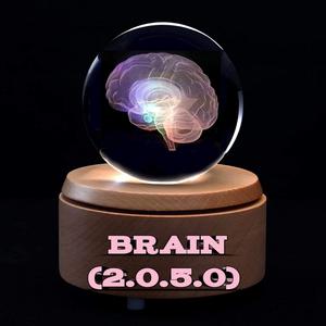 Brain