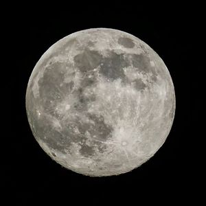 我一直想从你的窗子里看月亮