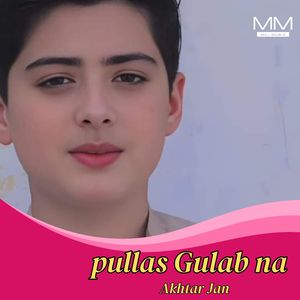 Pullak Baresono