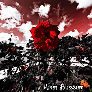 Moon Blossom