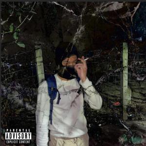 Night Lights (feat. Sezan Mahmud)