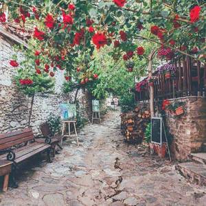 Top Cloud-春天日记（张凌志 remix）